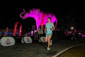 BIB: 
                            <button type="button" onclick="openModal(26534595)" class="btn btn-primary btn-sm float-right btn-popup" data-toggle="modal" data-target=".modal-high-quality">
                        <i class="fas fa-shopping-cart"></i> Add to Cart
                    </button>
                                            <button type="button" onclick="isThisMe(26534595, true)" class="btn btn-success btn-sm float-right btn-popup btn-isme hidden" data-toggle="tooltip" data-placement="bottom" title="นี่คือรูปของคุณใช่ไหม คลิกที่นี่เพื่อเอาเข้าอัลบั้ม">
                        <i class="fas fa-plus"></i> Add to album
                    </button>
                    <button type="button" onclick="isThisMe(26534595, false)" class="btn btn-warning btn-sm float-right btn-popup btn-isnotme hidden">
                        <i class="fas fa-ban"></i> Remove from album
                    </button>